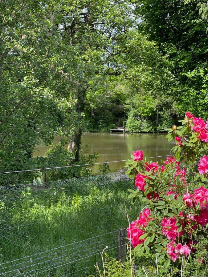 Lakeview Lodge, Builth Wells No Tradesmen Allowed Экстерьер фото