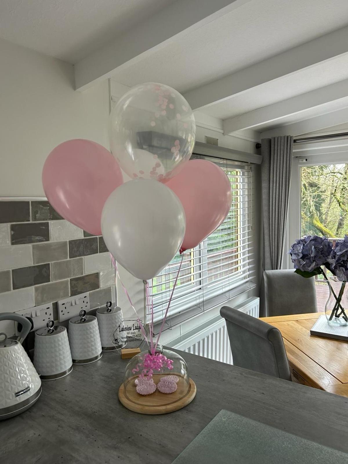Lakeview Lodge, Builth Wells No Tradesmen Allowed Экстерьер фото